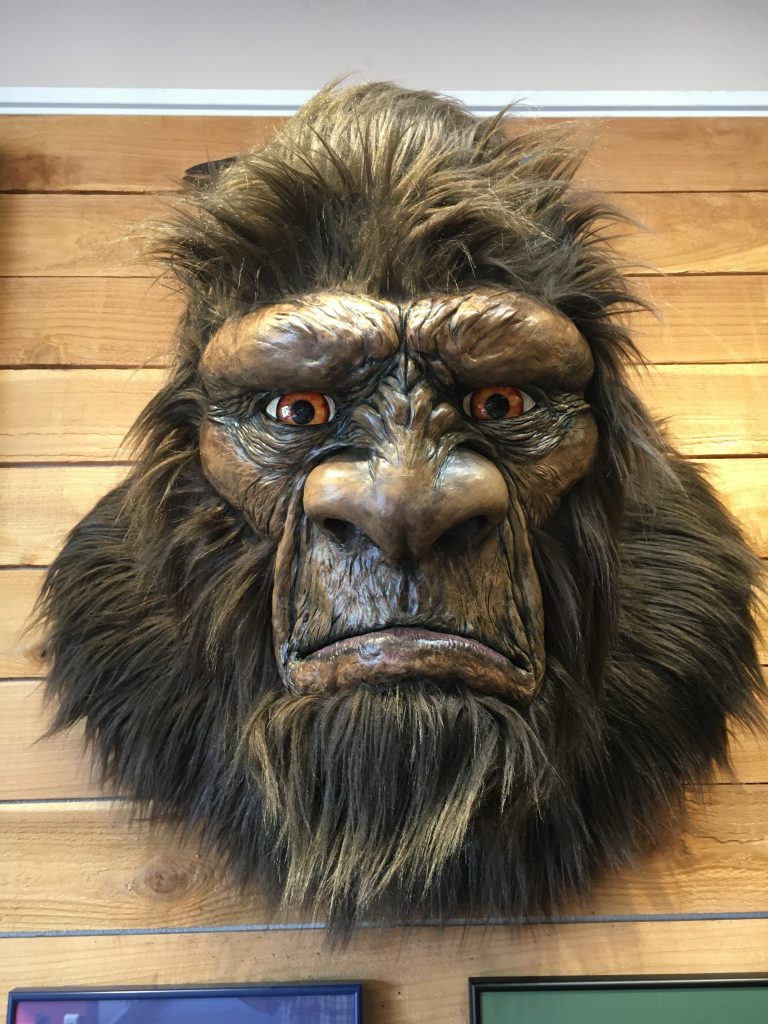 Photo of the Bigfoot bust named Big George.